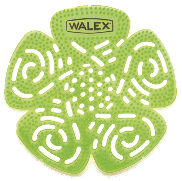Walex Bravo melon - Image 3