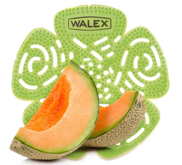 Walex Bravo melon - Image 2