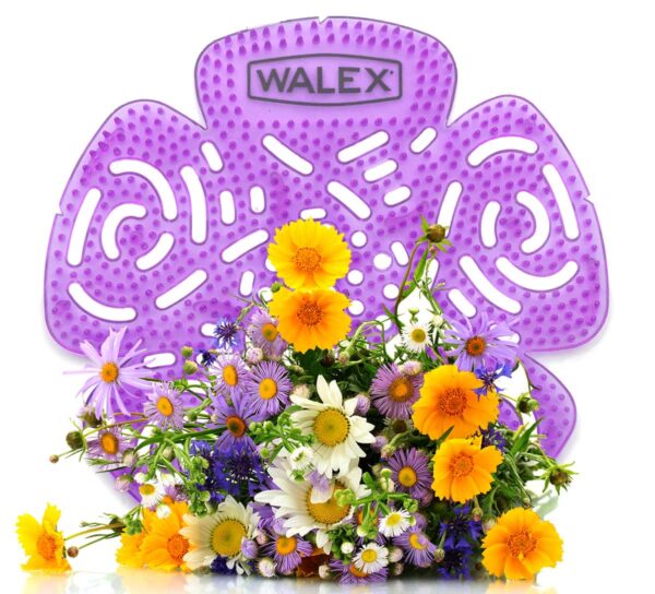 Walex Bravo wildflower - Image 2